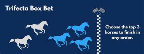 What is a Trifecta box Bet and How To Calculate Payout.